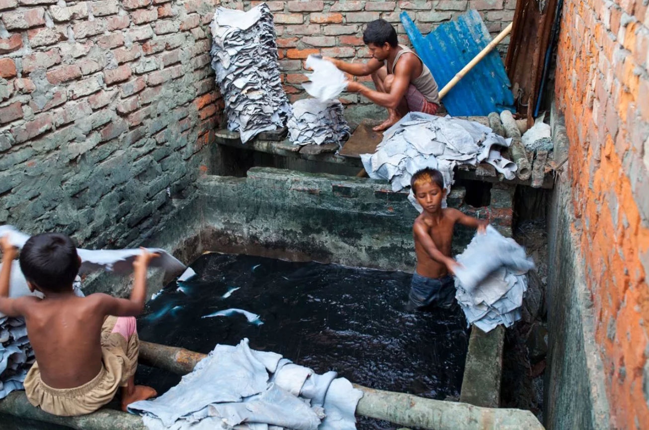 Children working in tanneries