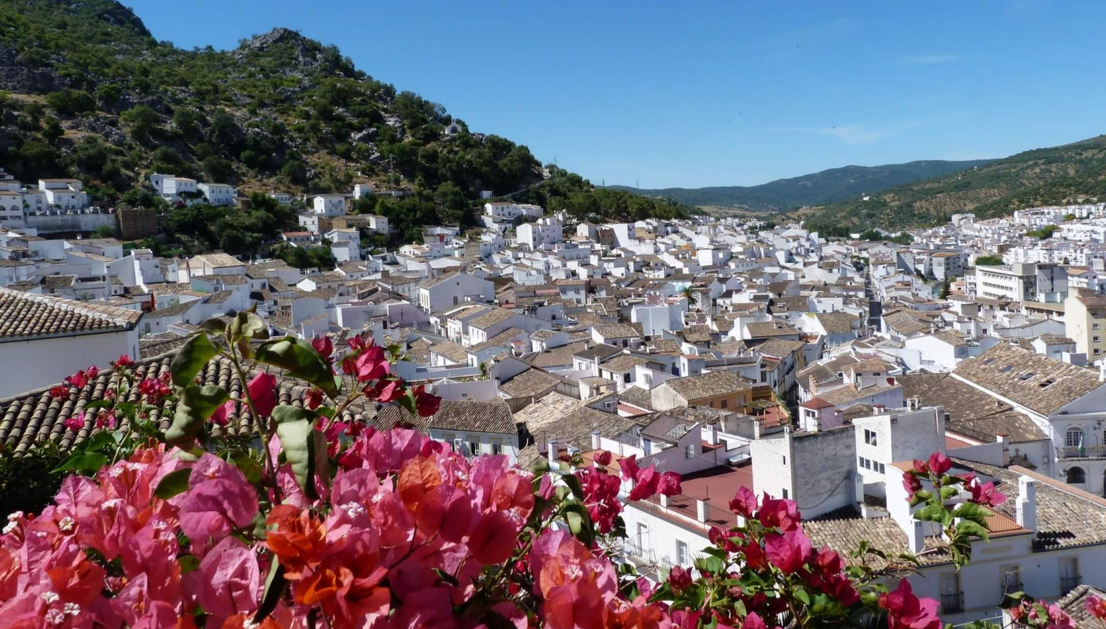 Landscape of Ubrique Spain with flowers